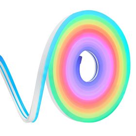 LED Neon Rope Light, 16.4 ft, Flexible RGB-IC LED Strip Light, Control with App/Remote, Works with Alexa & Google Assistant, Music Syncing